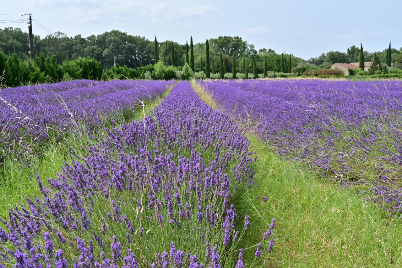 Вілла Gite De Charme "Puisneuf" Proche De Uzes Flaux Екстер'єр фото